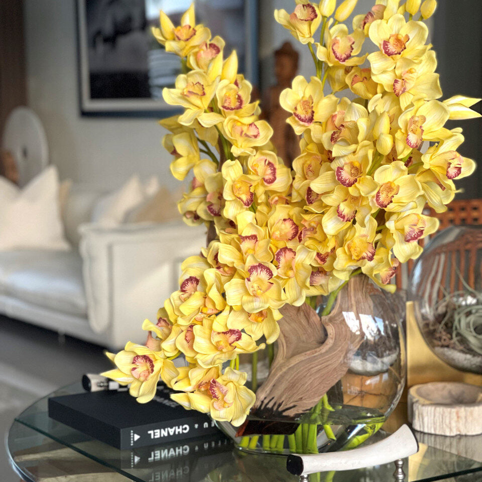 Gelb Cymbidiums In Moon in der Vase