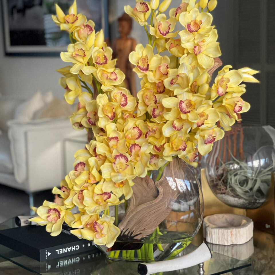 Gelb Cymbidiums In Moon in der Vase