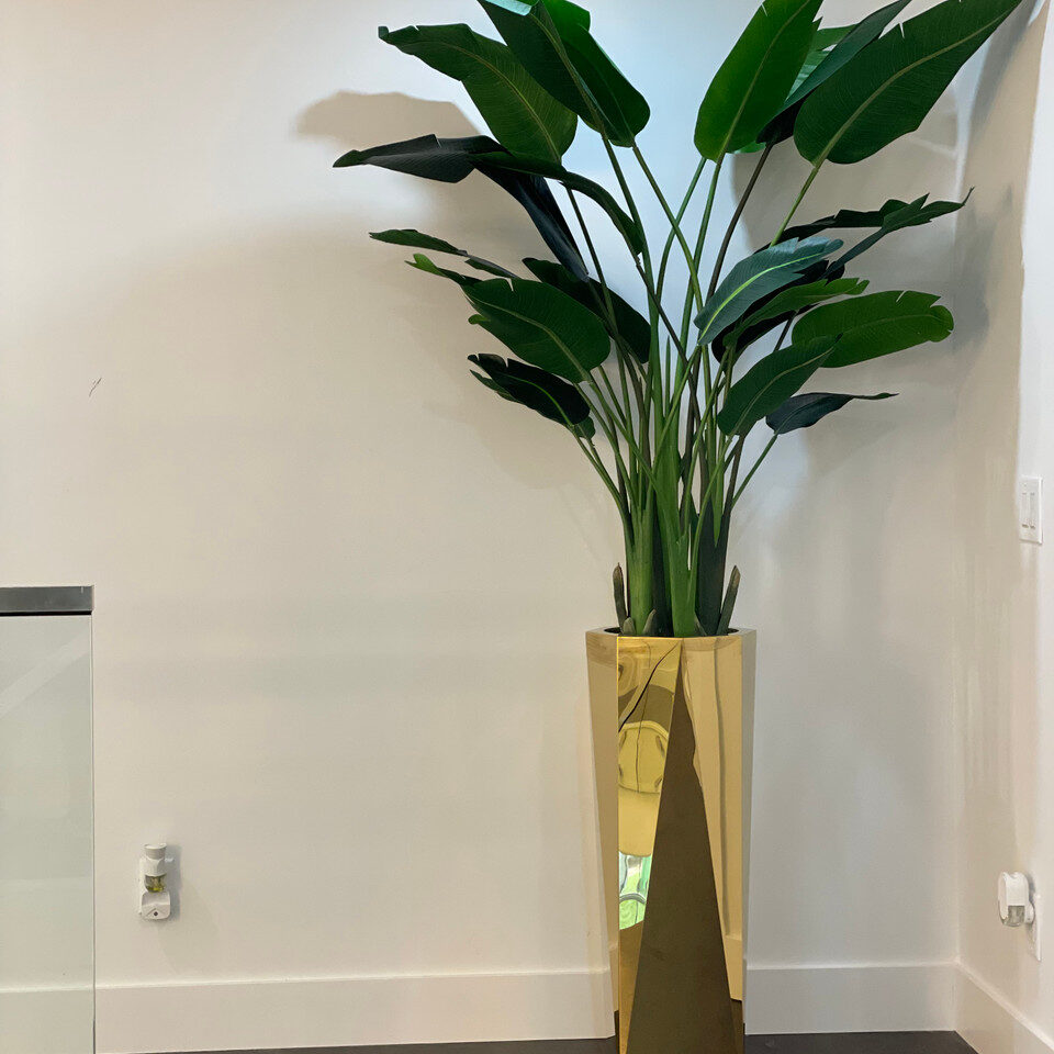 Paradiesvogelblume im Gold Glasprisma-Pflanzgefäß