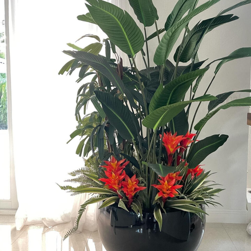 Tropical Mix Plants In Schwarz Terragona im Pflanzgefäß