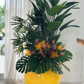 Tropical Mix Plants In Gelb Globe im Pflanzgefäß