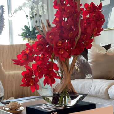 Rot Cymbidiums In Moon in der Vase