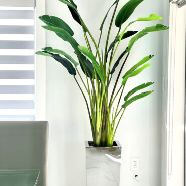 Paradiesvogelblume im Mittel Stainless Steel Cube Pflanzgefäß
