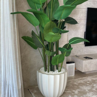 Paradiesvogelblume im Matt Beige Santa Barbara Pflanzgefäß
