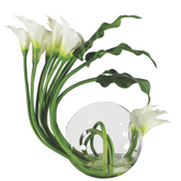 Calla Lilies in der Crosswinds Vase