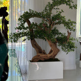 Bonsai Kunstpflanze