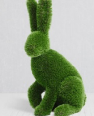 Sitting Rabbit