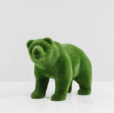 Klein Bear